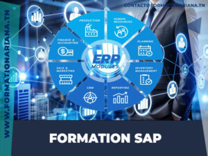 formation sap tunisie