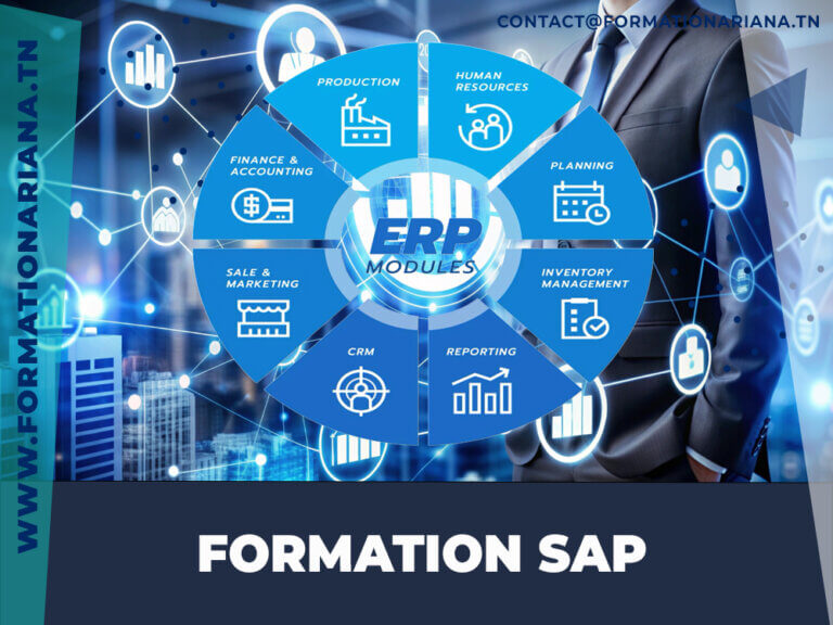 formation sap tunisie